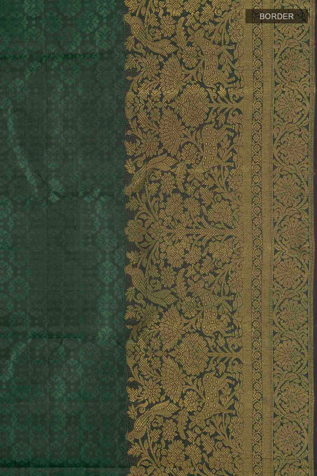 Border image of Green Kanchipuram Silk Saree with Jacquard design on the body and Zari Border