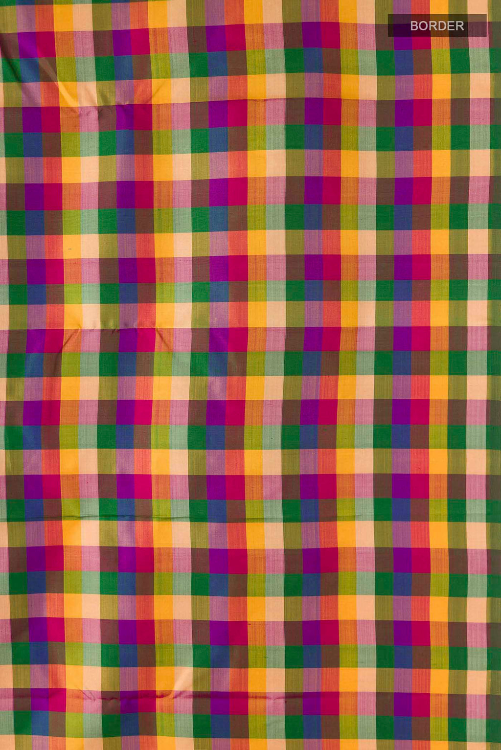 Border image of Multi Color Kanchipuram Silk Saree with Checked design on the body and Without Border