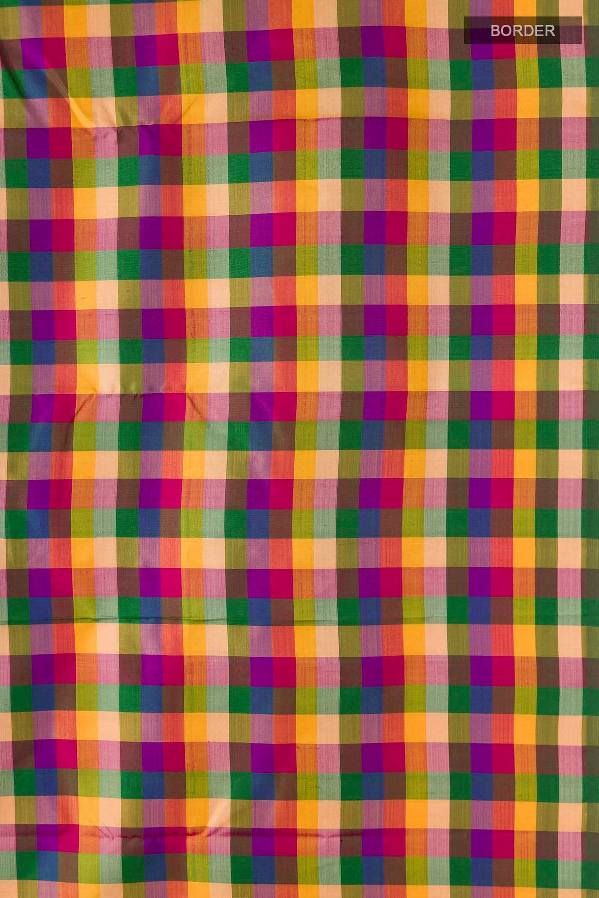 Border image of Multi Color Kanchipuram Silk Saree with Checked design on the body and Without Border