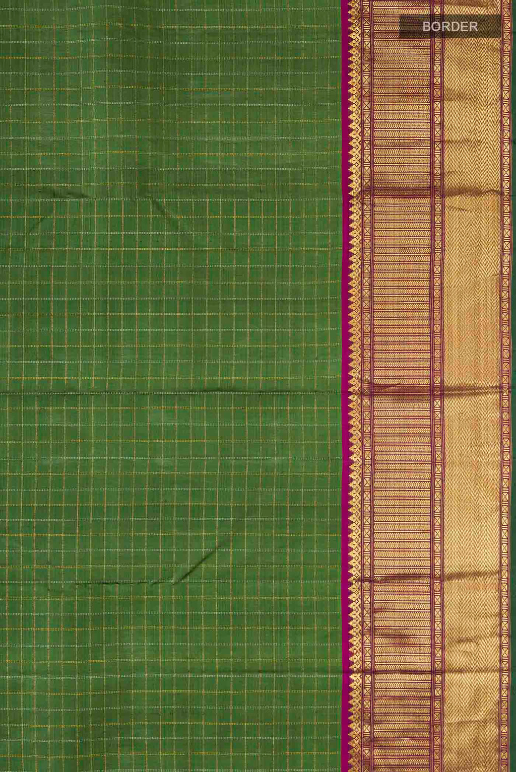 Border image of Green Kanchipuram Silk Saree with Checked design on the body and Zari Border