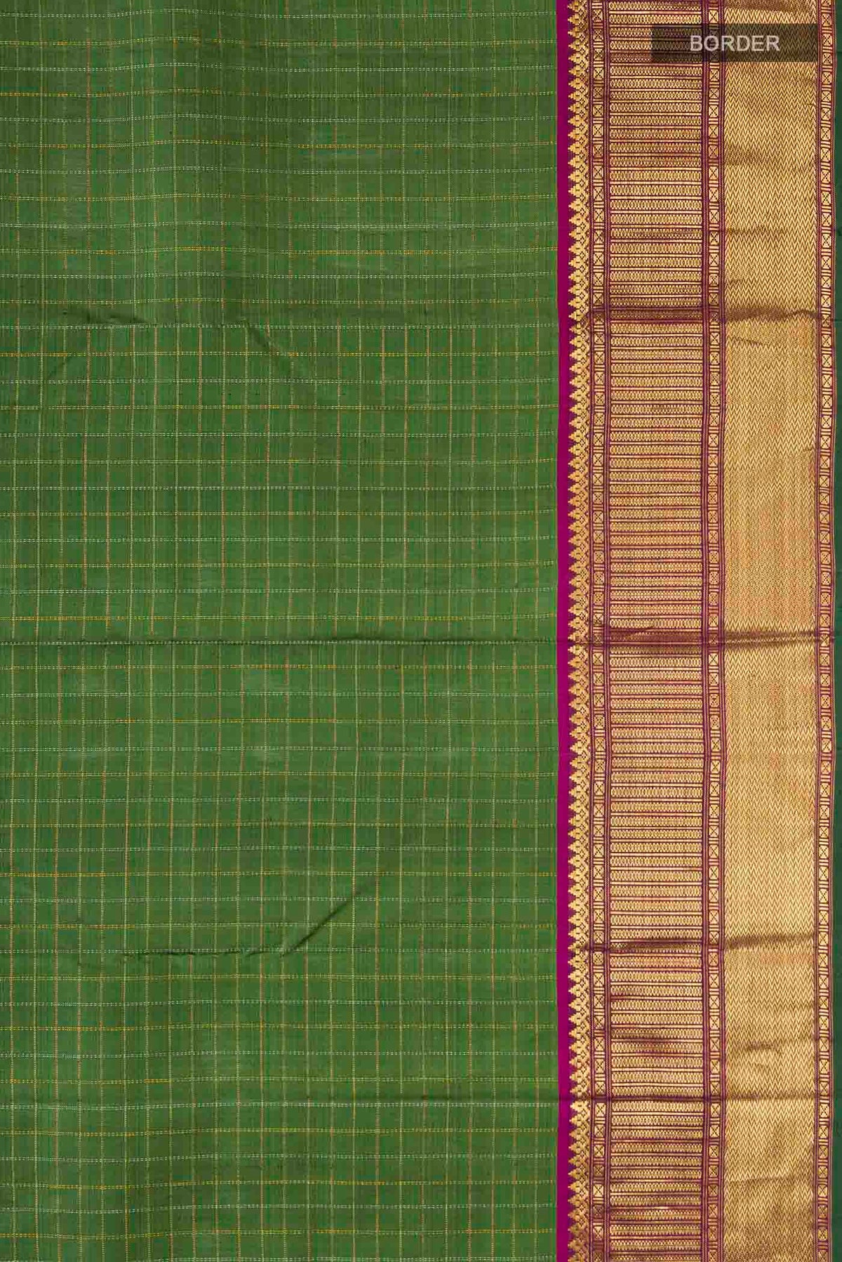 Border image of Green Kanchipuram Silk Saree with Checked design on the body and Zari Border