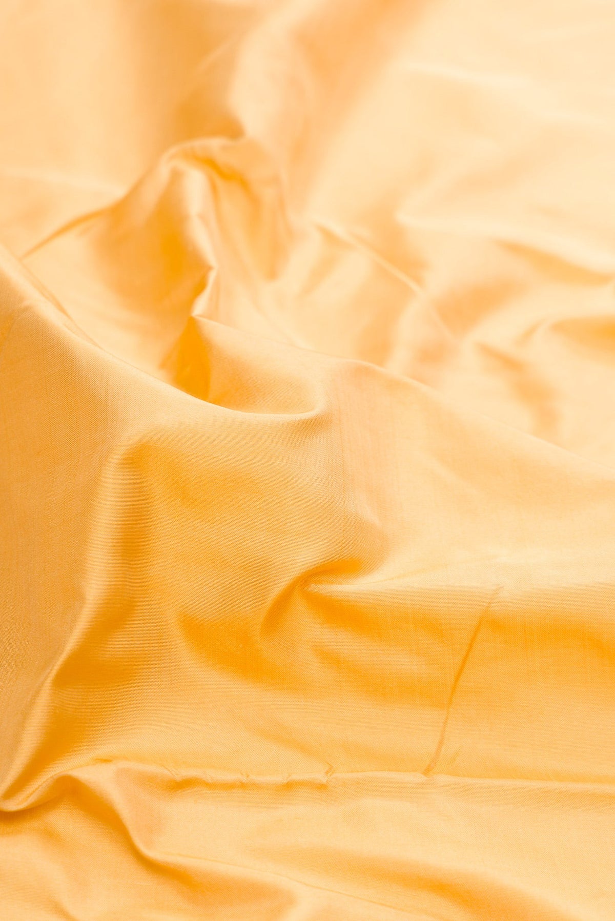 Close up of Sandal Dual Tone Kanjivaram Silk Nine Yards Saree with Stripes on the body and Zari Border.  displaying folds