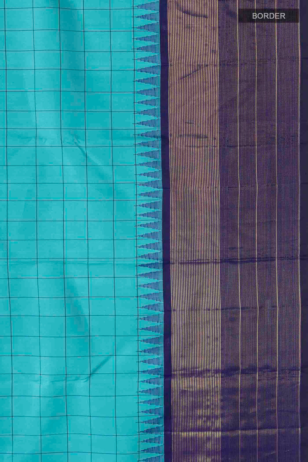 Border image of Blue Kanchipuram Silk Saree with Checked design on the body and Zari Border