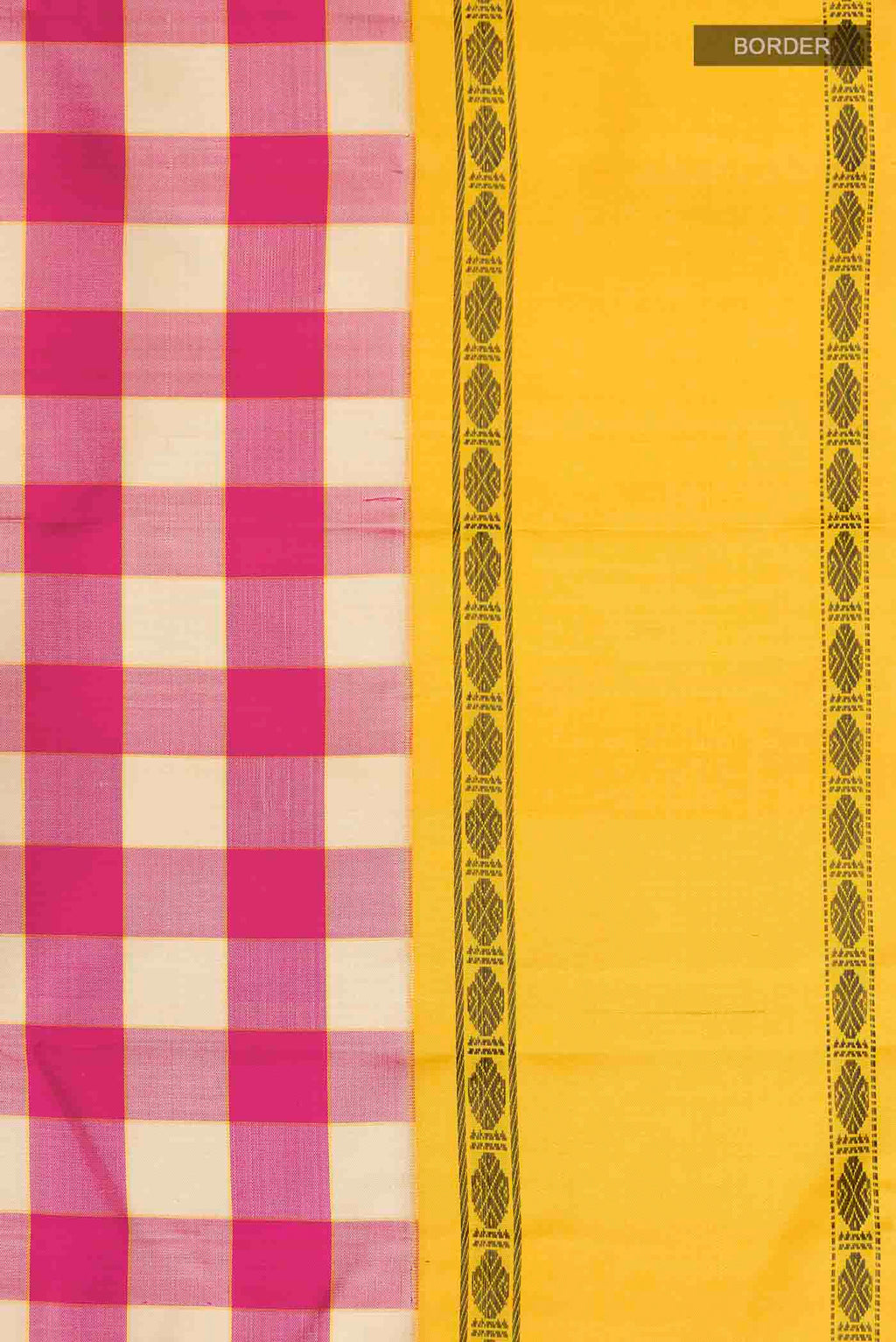 Border image of Multi Color Kanchipuram Silk Saree with Checked design on the body and Thread Border