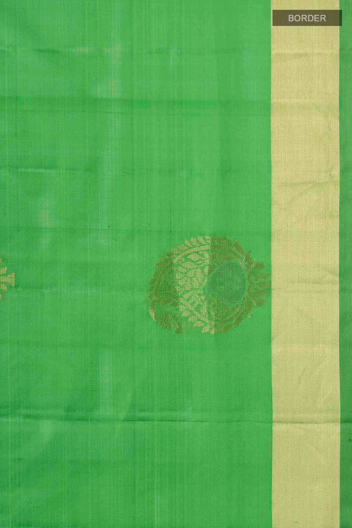Border image of Green Soft Silk Saree with Zari Butta on the body and Zari Border