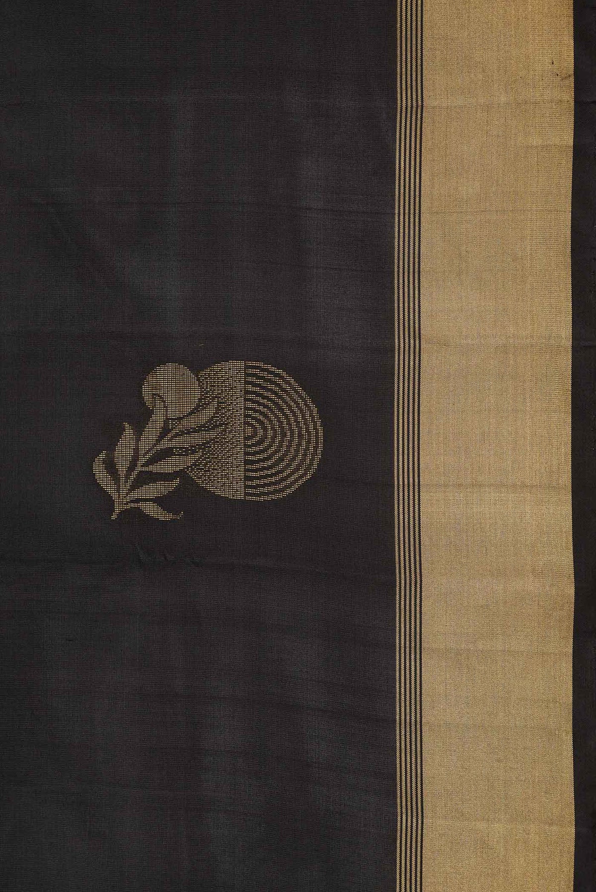 Border image of Black Dual Tone Soft Silk Saree with Zari Butta on the body and Zari Border
