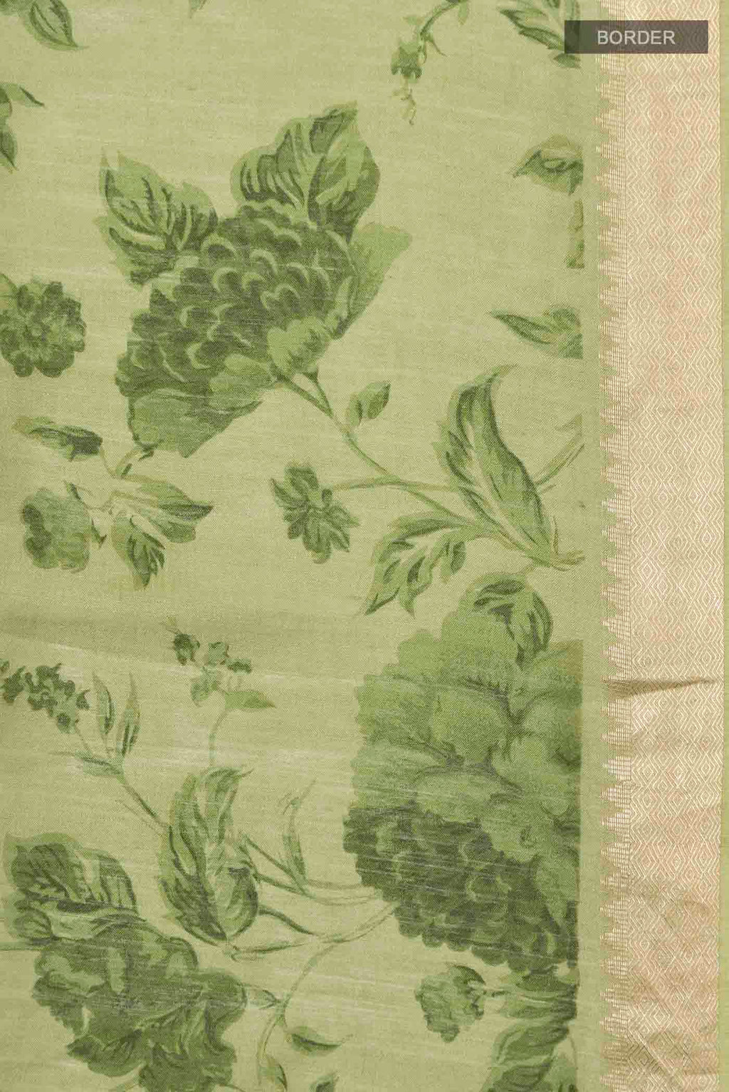 Border image of Green Tussar Silk Saree with Printed design on the body and Zari Border