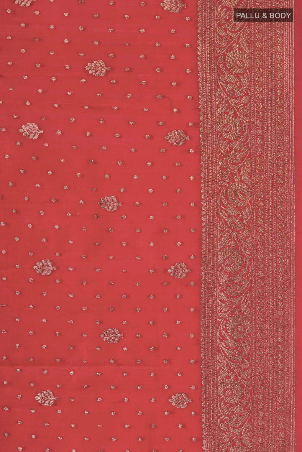 Border image of Red Raw Silk Saree with Zari Butta on the body and Zari Border