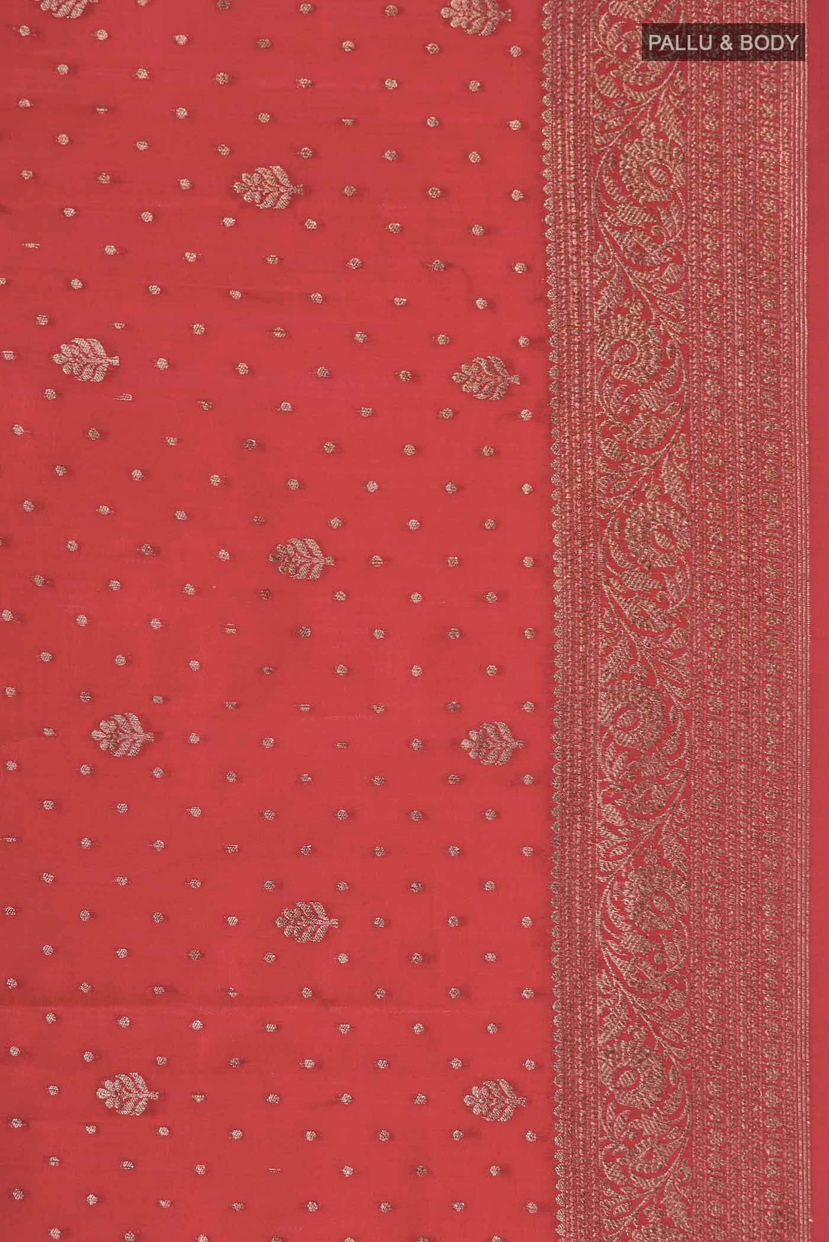 Border image of Red Raw Silk Saree with Zari Butta on the body and Zari Border
