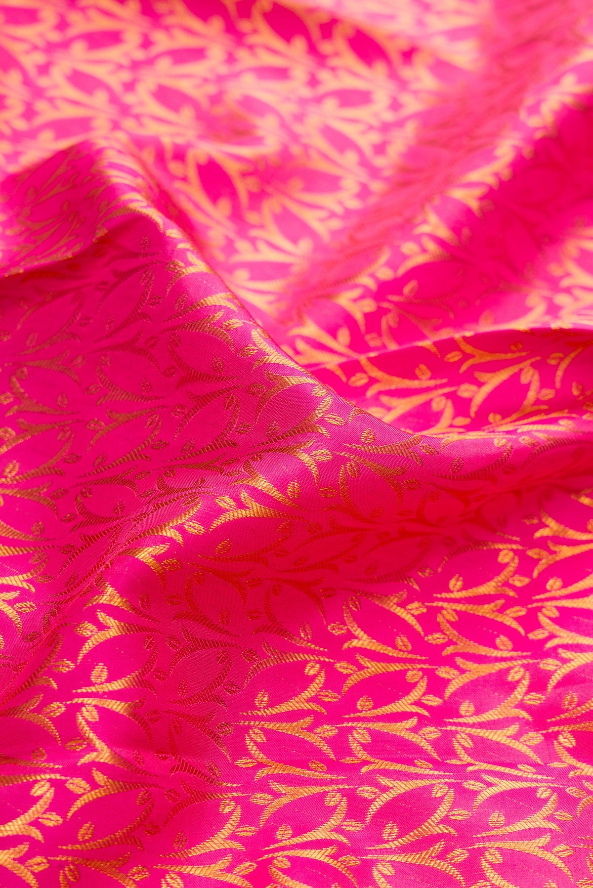 Close up of Pink Dual Tone Kanchipuram Silk Saree with Zari Brocade on the body and Zari Border.  displaying folds