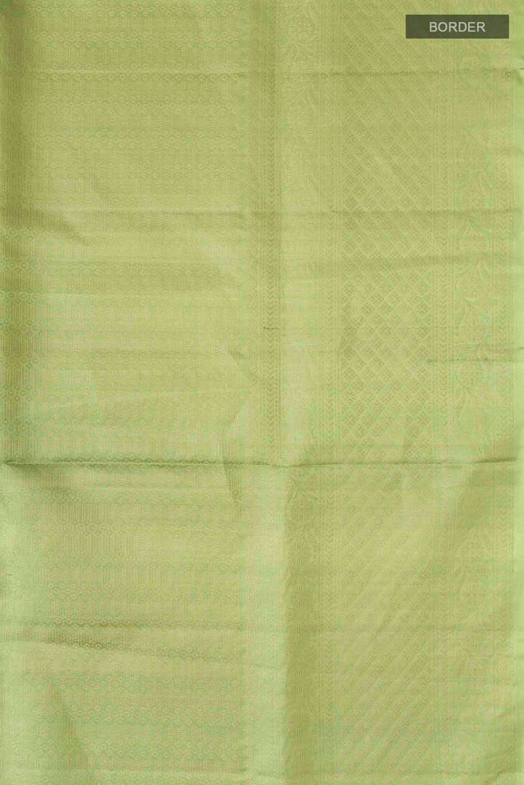 Border image of Green Soft Silk Saree with Zari Brocade on the body and Zari Border