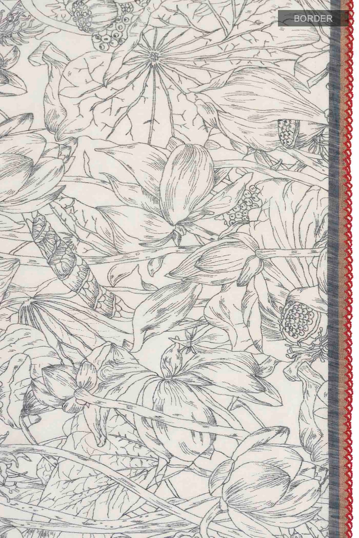Border image of White Bhagalpuri Tussar Silk Saree with Printed design on the body and Zari Border