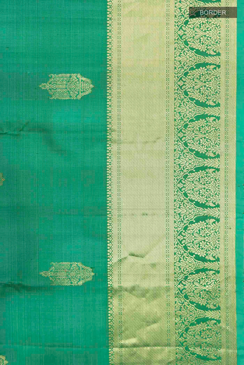 Border image of Green Kanchipuram Silk Saree with Zari Butta on the body and Zari Border