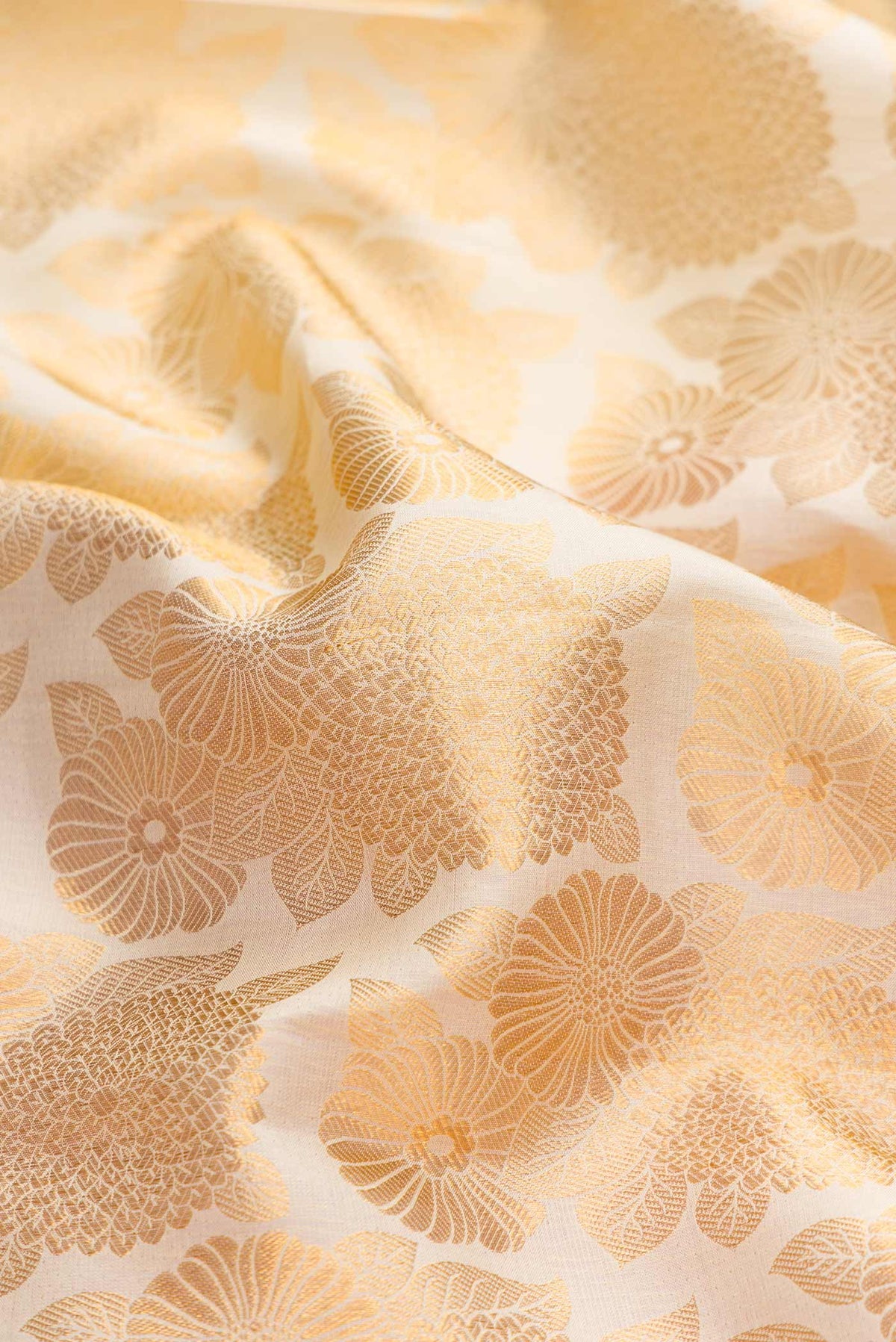 Close up of Off White Dual Tone Kanchipuram Silk Saree with Zari Brocade on the body and Zari Border displaying folds