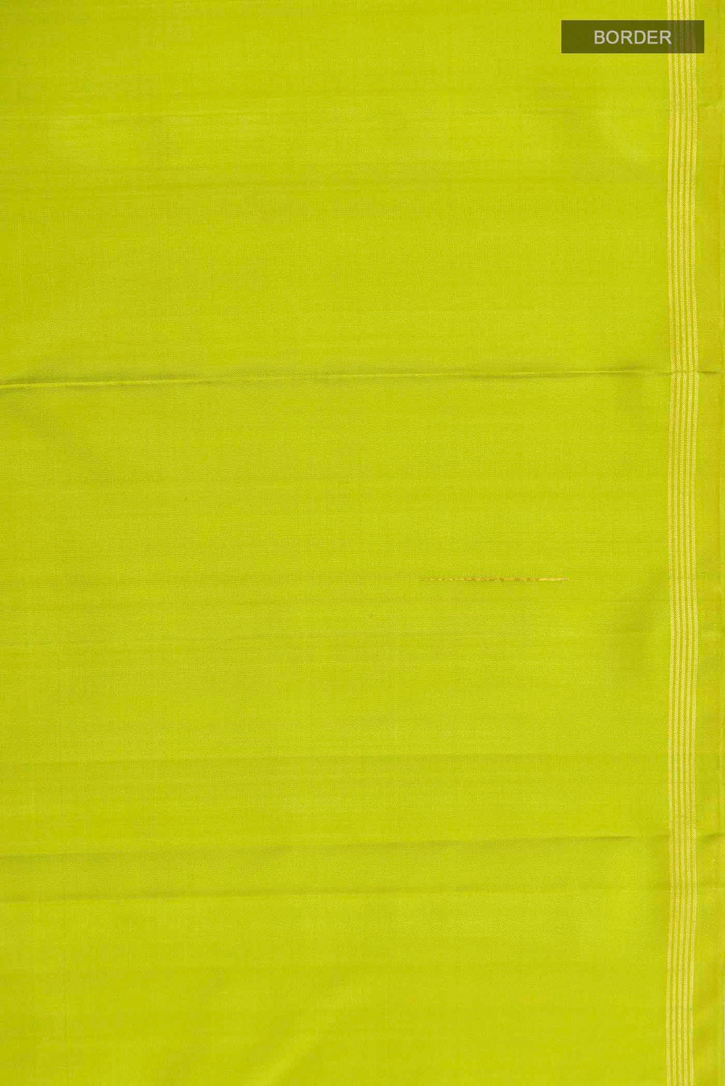 Border image of Green Kanchipuram Silk Saree with Zari Butta on the body and Zari Border