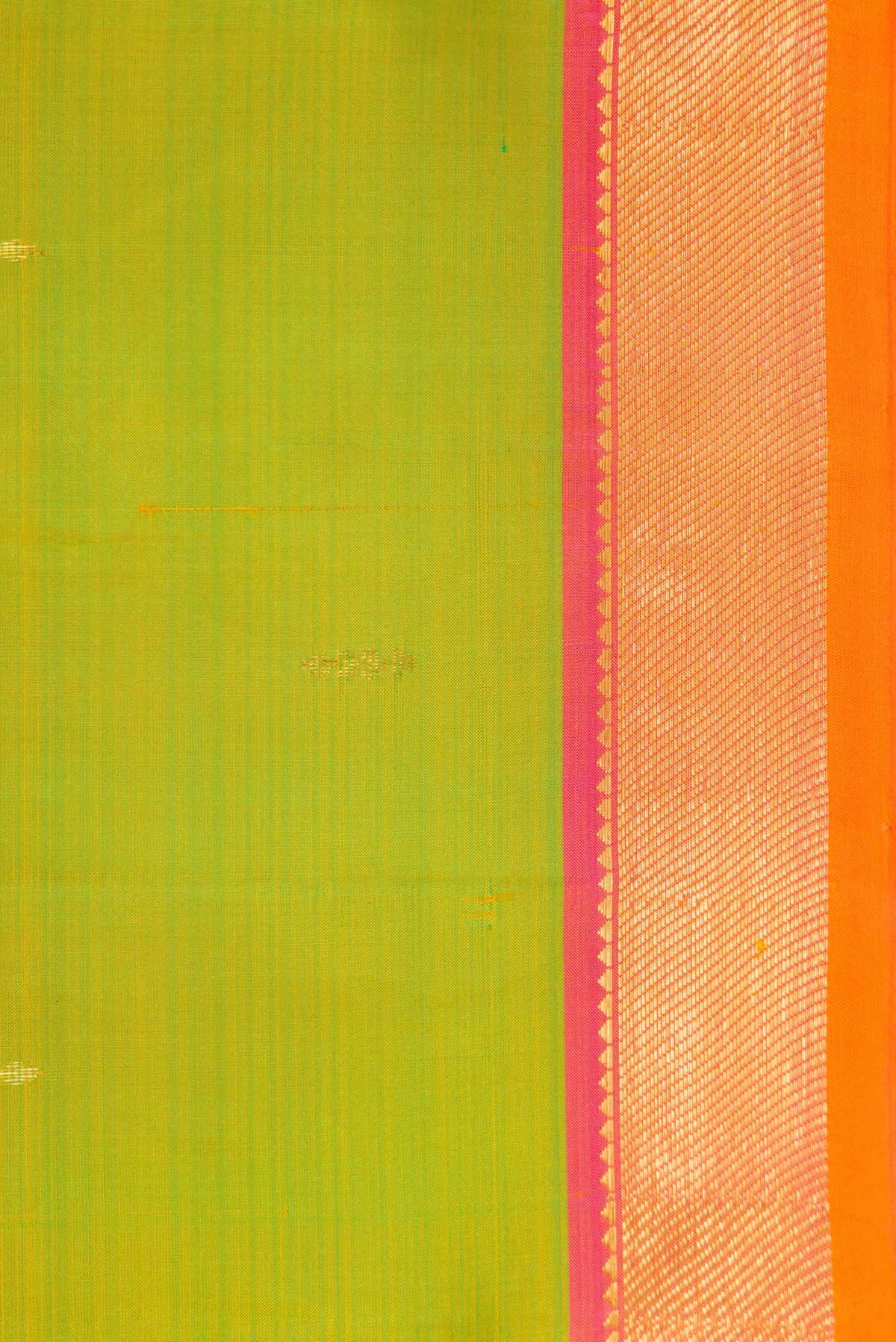 Border image of Parrot Green Dual Tone Kanchipuram Silk Saree with Zari Butta on the body and Zari Border. 
