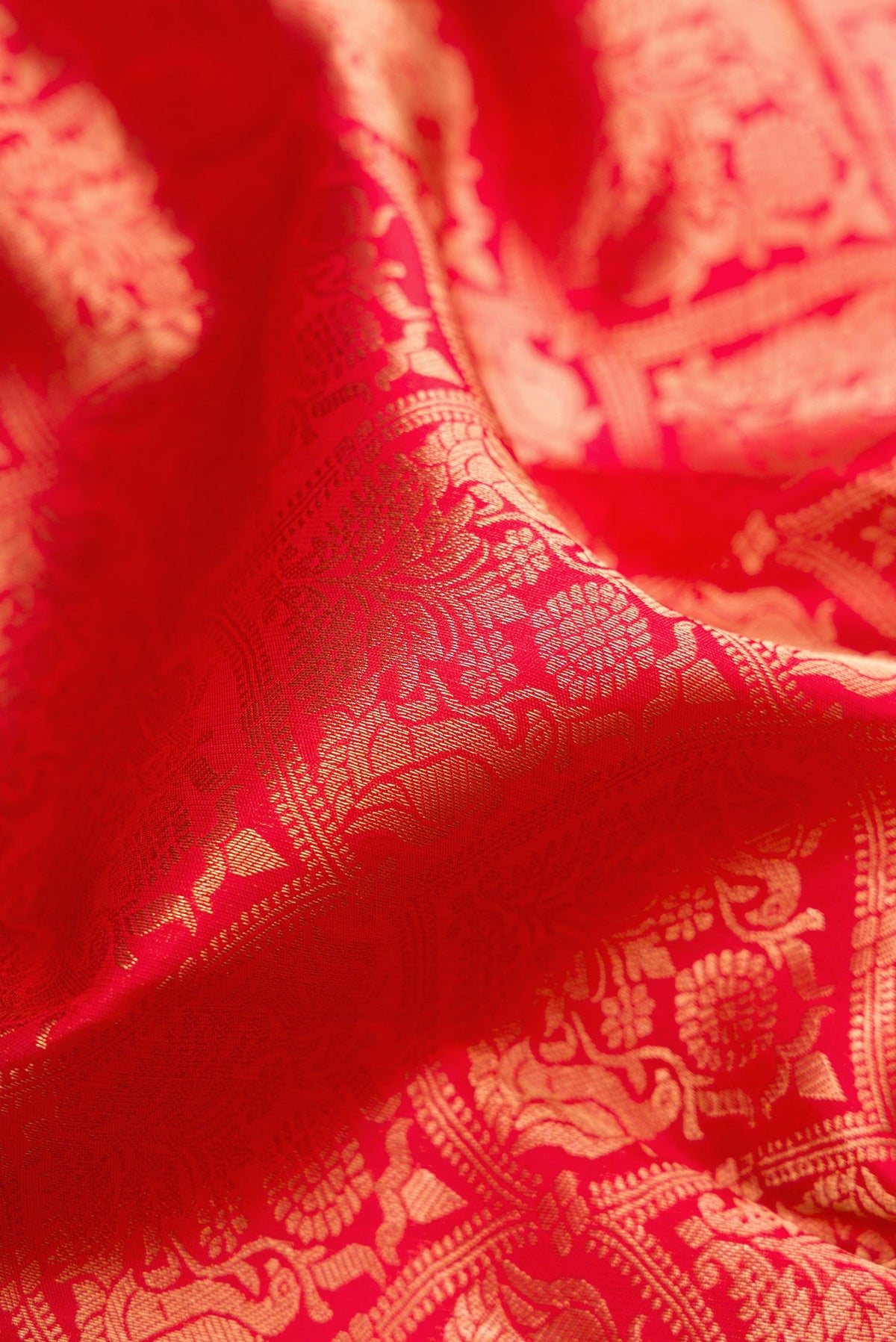 Close up of Red Kanchipuram Silk Saree with Zari Brocade on the body and Zari Border.  displaying folds