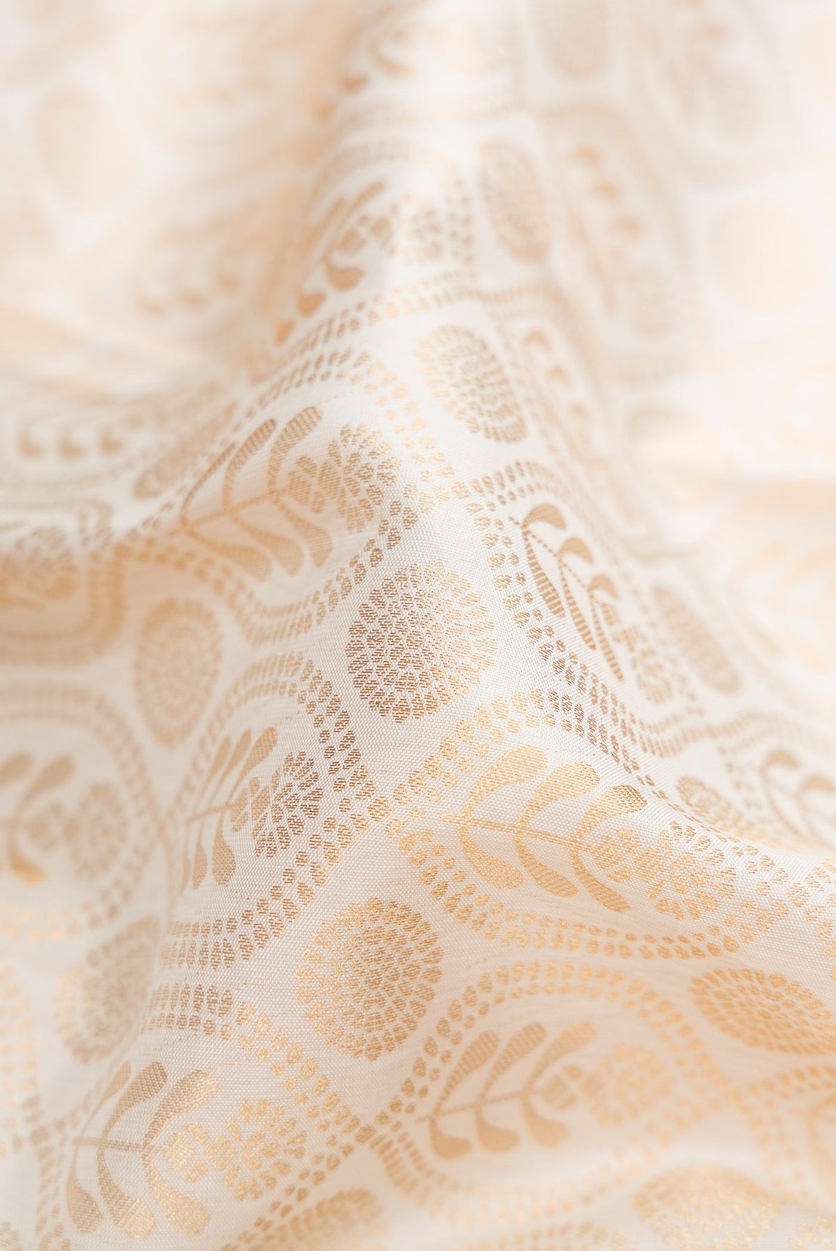 Close up of Off White Kanjivaram Silk Saree with Zari Brocade on the body and Zari Border.  displaying folds