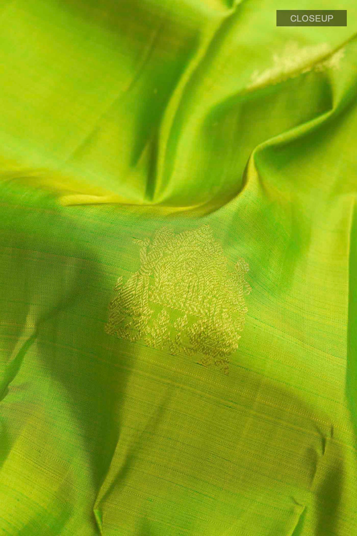 Close up of Green Kanchipuram Silk Saree with Zari Butta on the body and Zari Border displaying folds