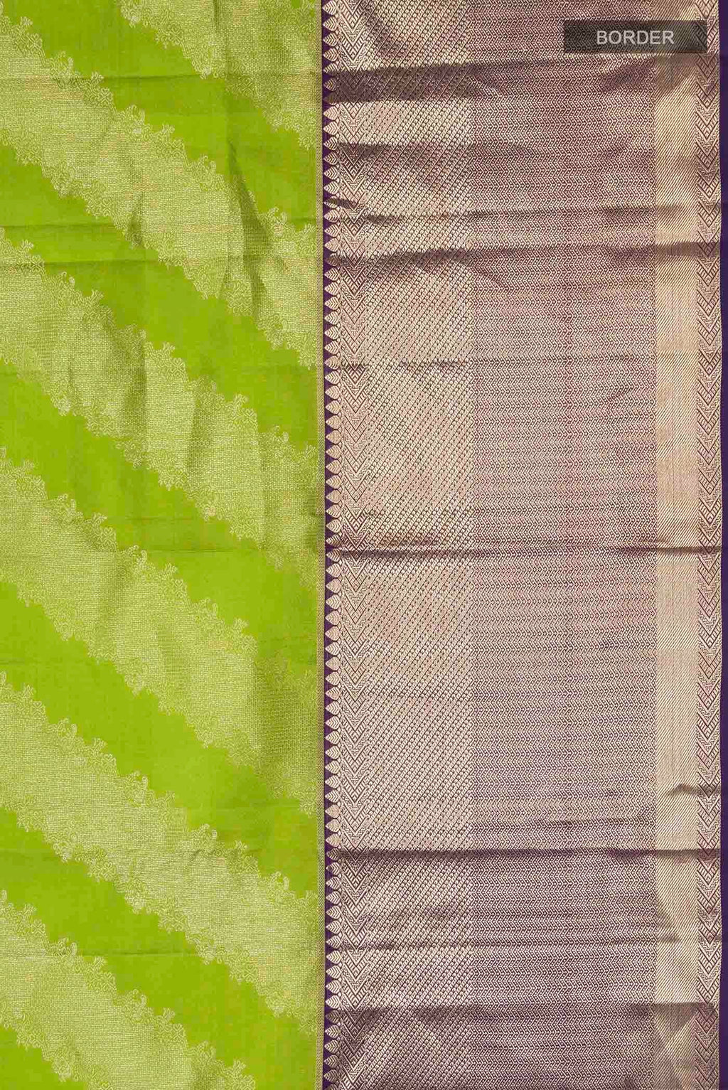 Border image of Green Kanchipuram Silk Saree with Zari Butta on the body and Zari Border