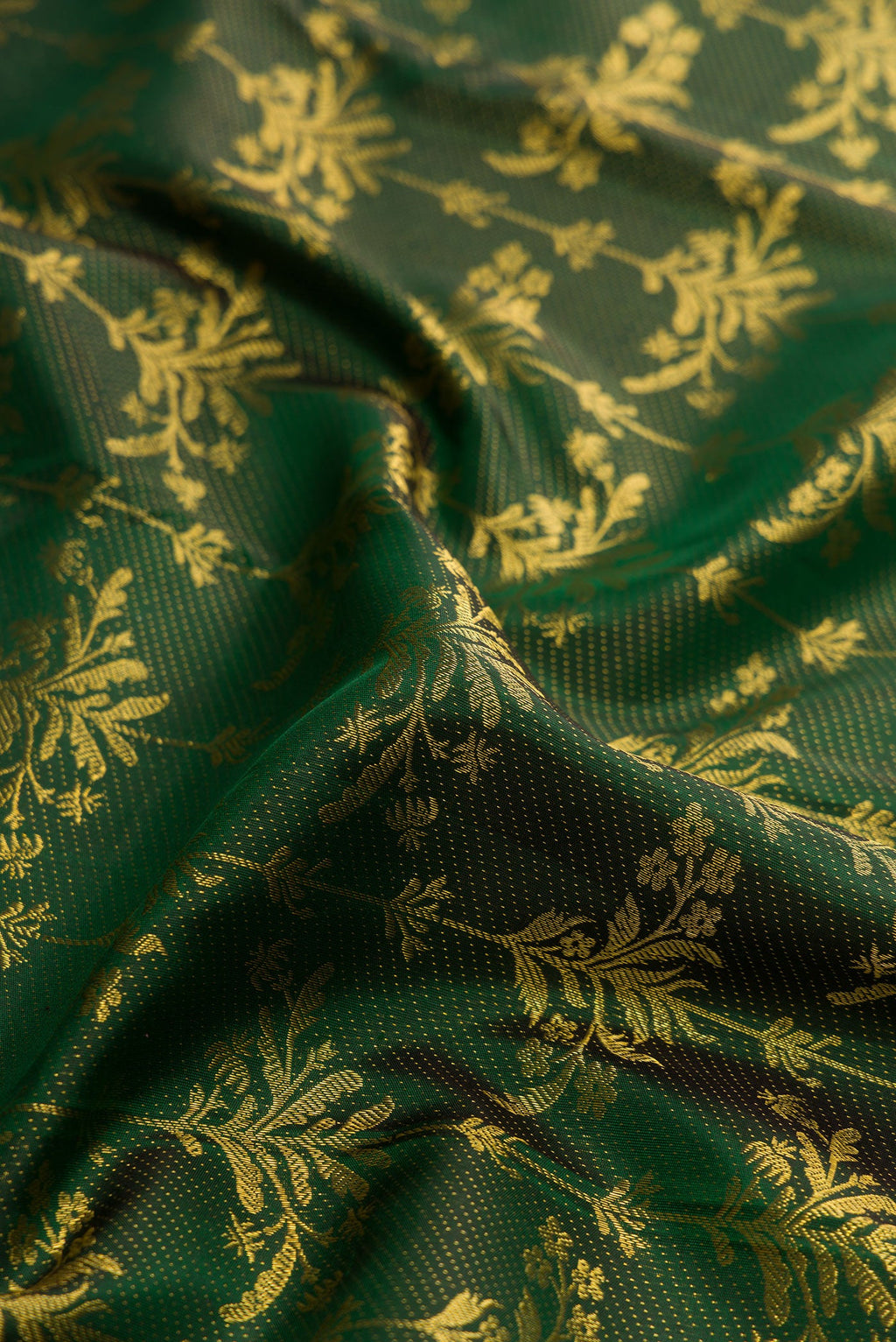 Close up of Green Dual Tone Kanjivaram Silk Saree with Zari Brocade on the body and Zari Border.  displaying folds