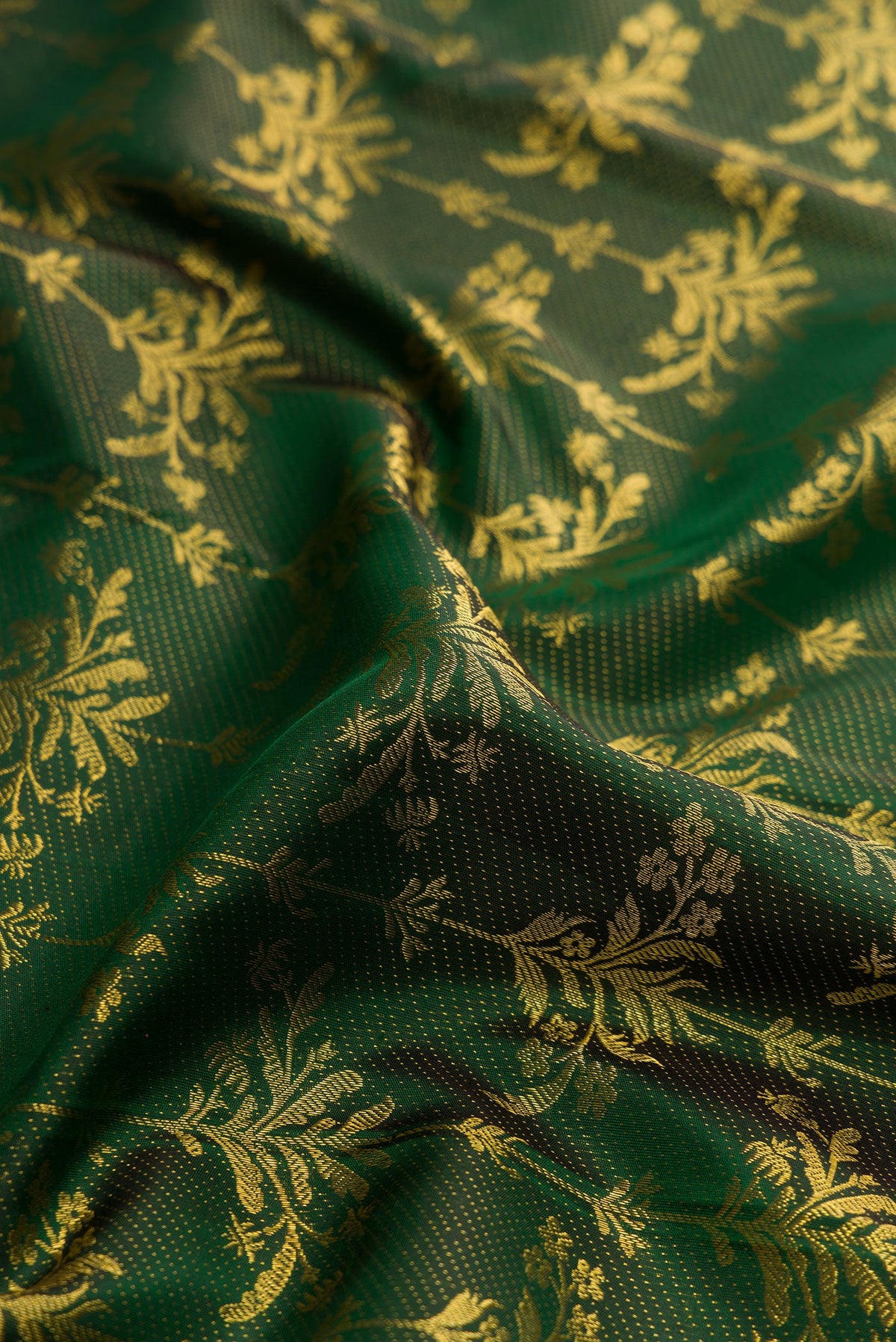 Close up of Green Dual Tone Kanjivaram Silk Saree with Zari Brocade on the body and Zari Border.  displaying folds
