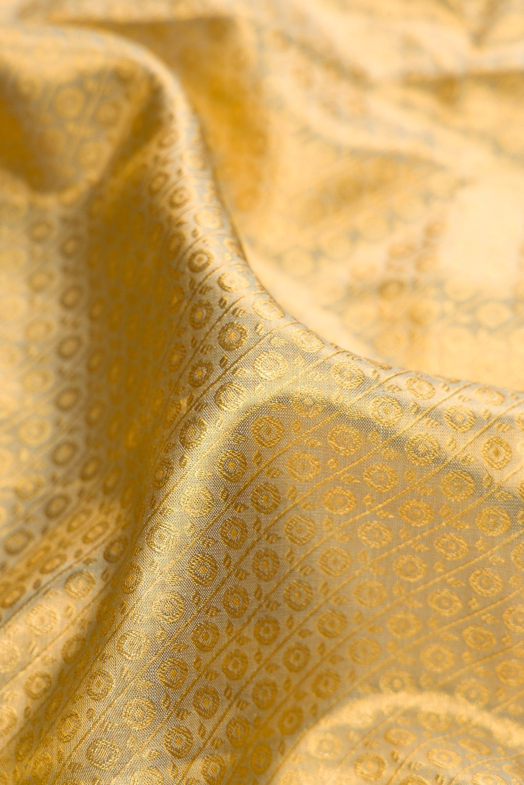 Close up of Gold Dual Tone Kanchipuram Tissue Silk Saree with Zari Brocade on the body and Zari Border.  displaying folds