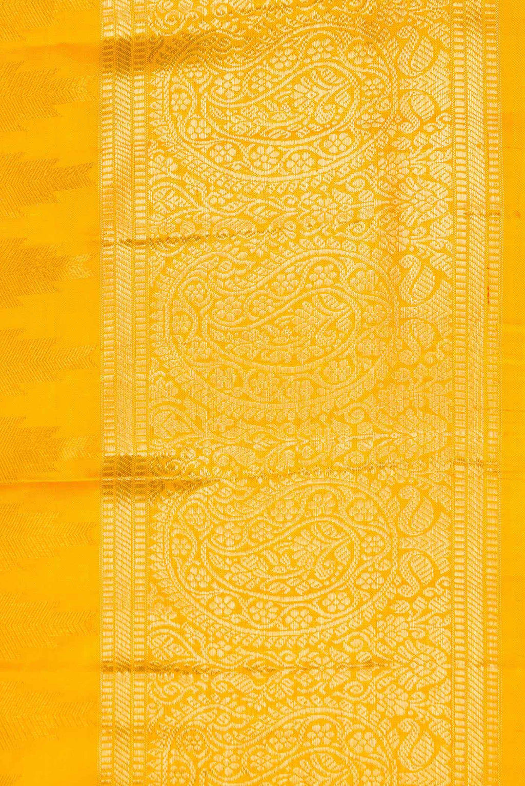 Border image of Mustard Dual Tone Kanchipuram Silk Saree with Zari Brocade on the body and Zari Border