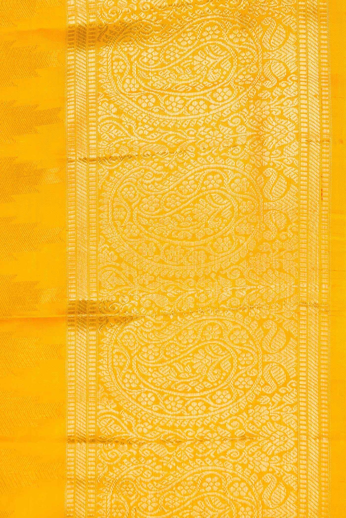 Border image of Mustard Dual Tone Kanchipuram Silk Saree with Zari Brocade on the body and Zari Border