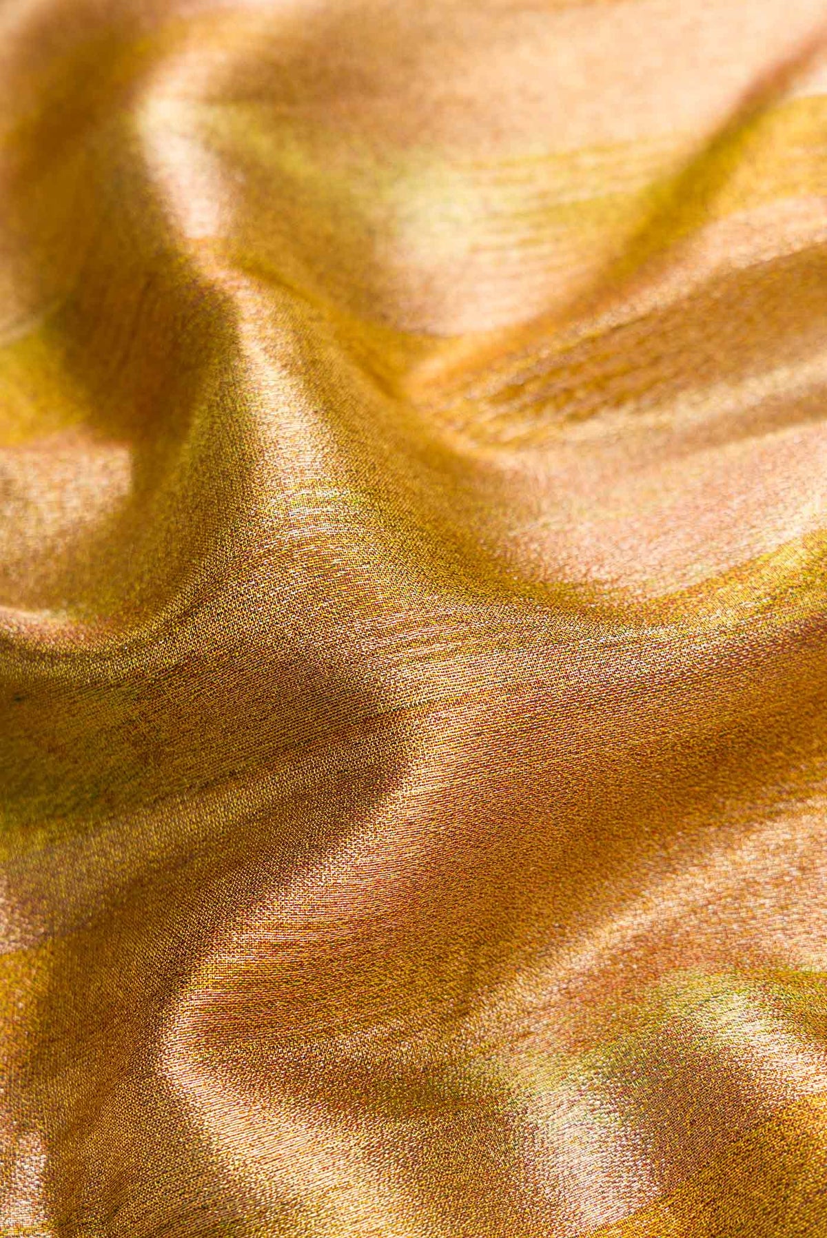 Close up of Green Dual Tone Kanjivaram Tissue Silk Saree with Zari Brocade on the body and Temple Border.  displaying folds