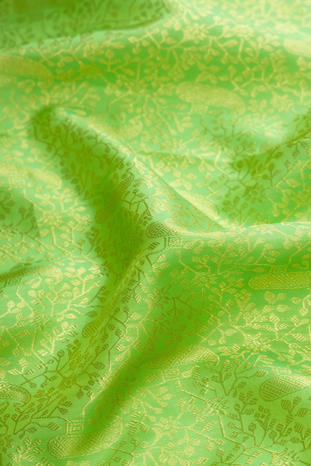 Close up of Parrot Green Dual Tone Kanchipuram Silk Saree with Zari Brocade on the body and Zari Border.  displaying folds