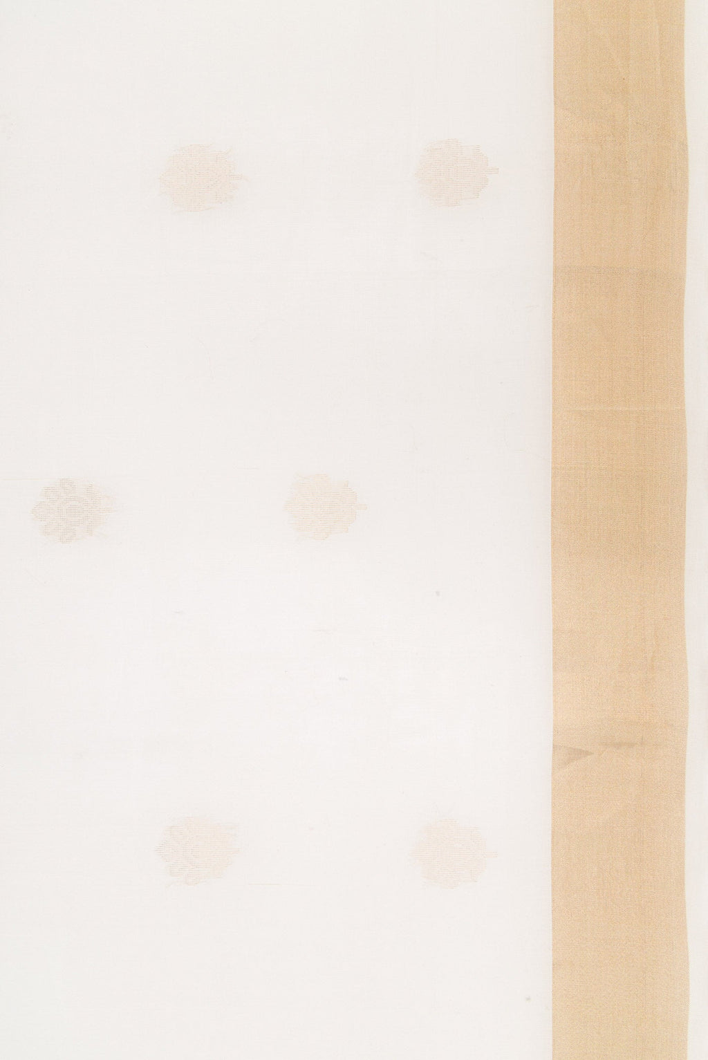 Border image of White Dual Tone Silk Cotton Saree with Zari Butta on the body and Zari Border. 