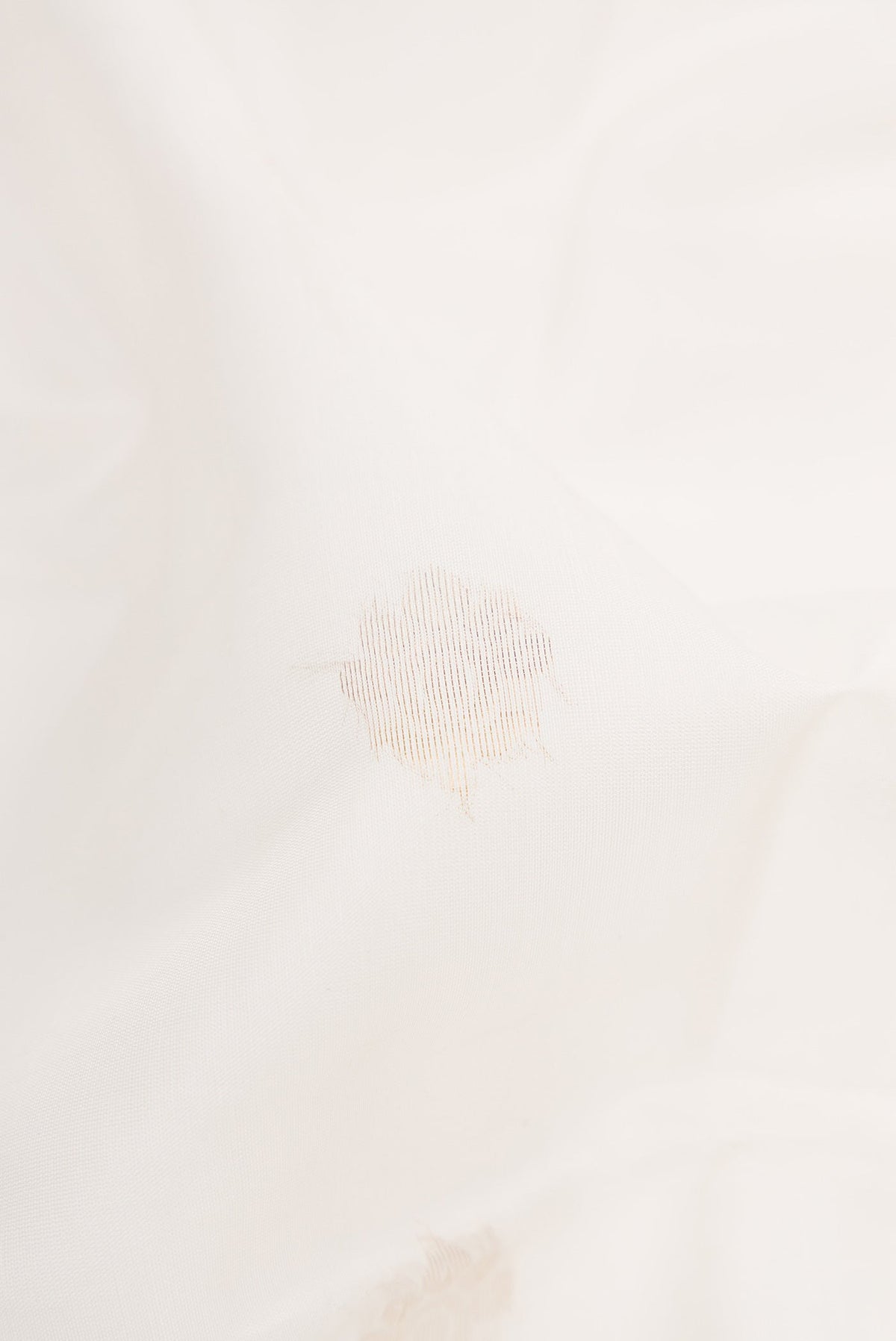 Close up of White Dual Tone Silk Cotton Saree with Zari Butta on the body and Zari Border.  displaying folds