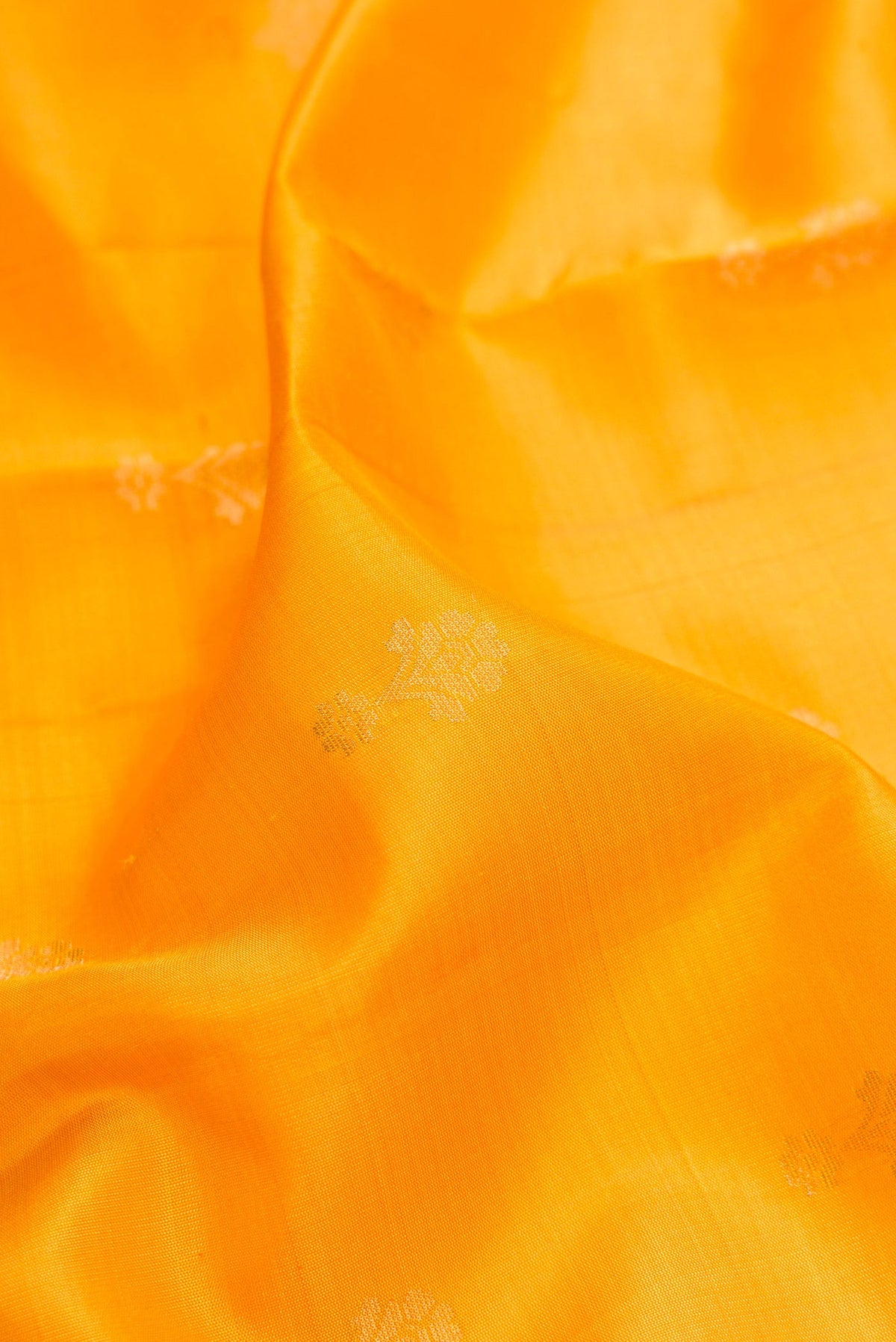 Close up of Mustard Dual Tone Soft Silk Saree with Zari Butta on the body and Zari Border.  displaying folds