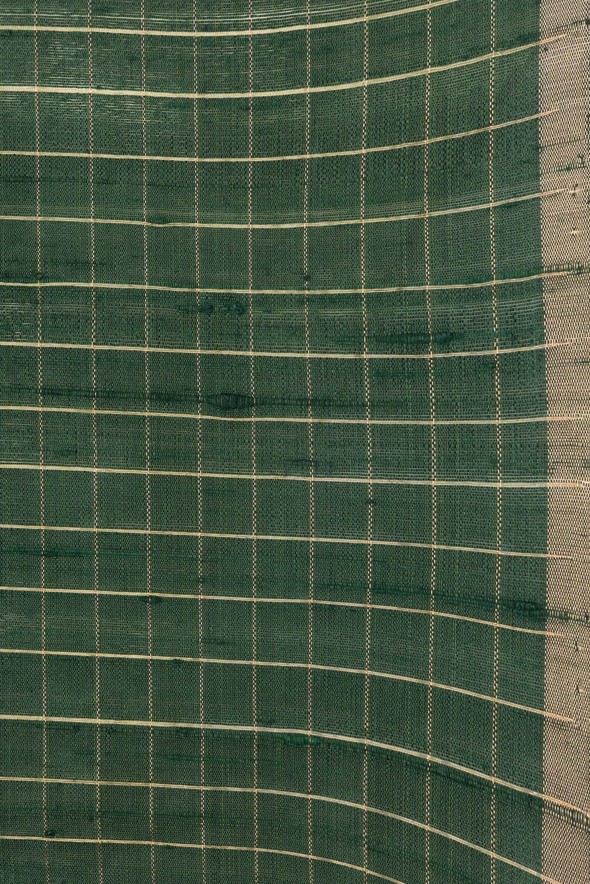 Border image of Bottle Green Dual Tone Raw Silk Saree with Checked design on the body and Zari Border. 