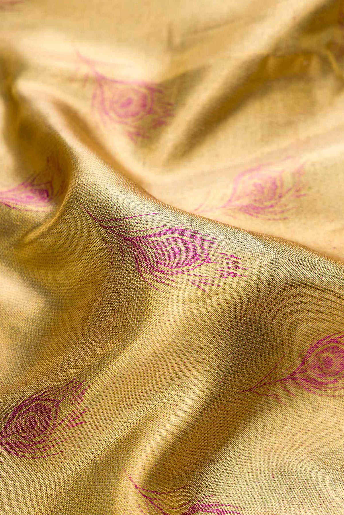 Close up of Gold Dual Tone Kanjivaram Tissue Silk Saree with Zari Brocade on the body and Fancy Border.  displaying folds