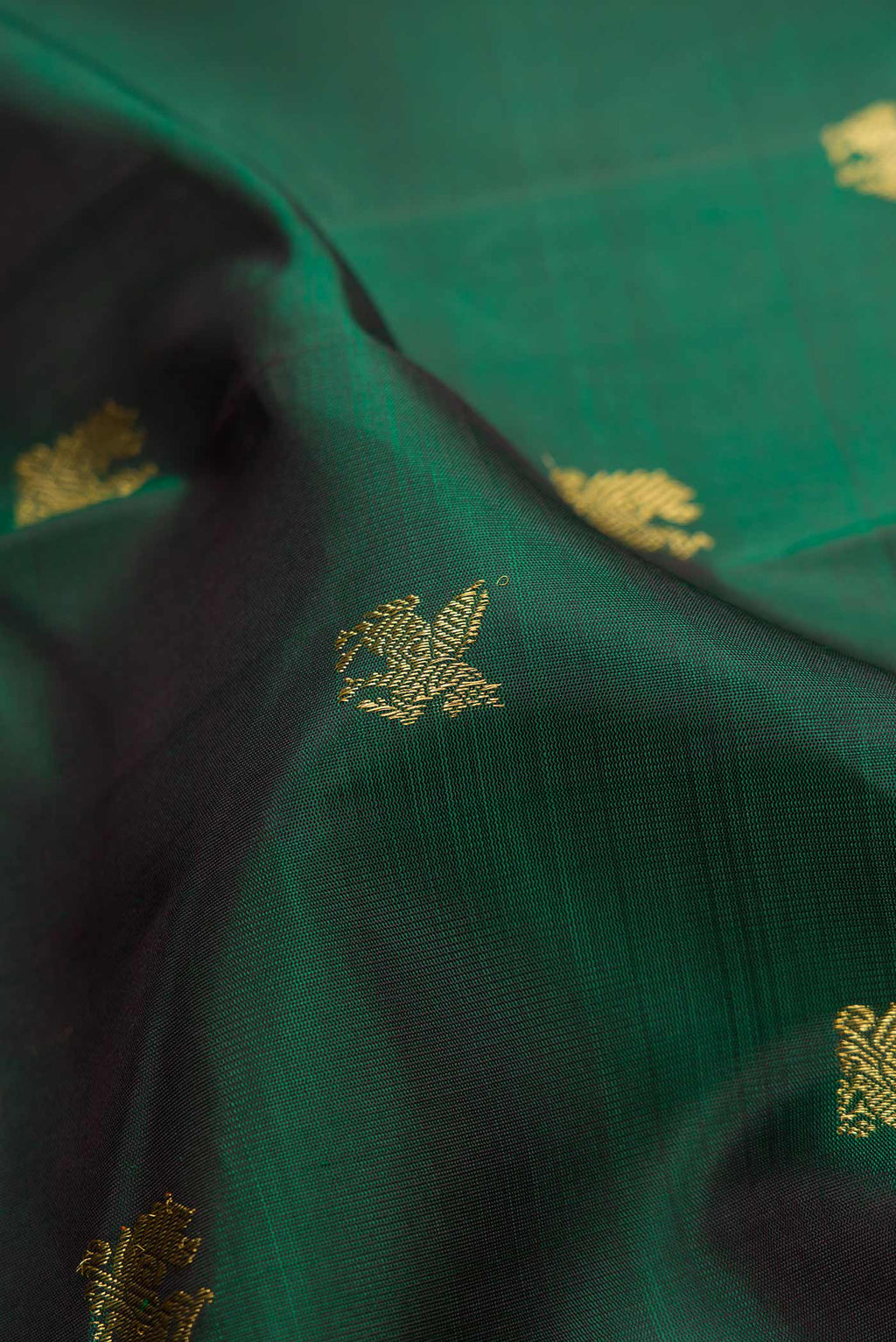 Close up of Pure Silk Pure Zari Bottle Green Dual Tone Kanjivaram Saree with Zari Butta on the body and Zari Border.  displaying folds