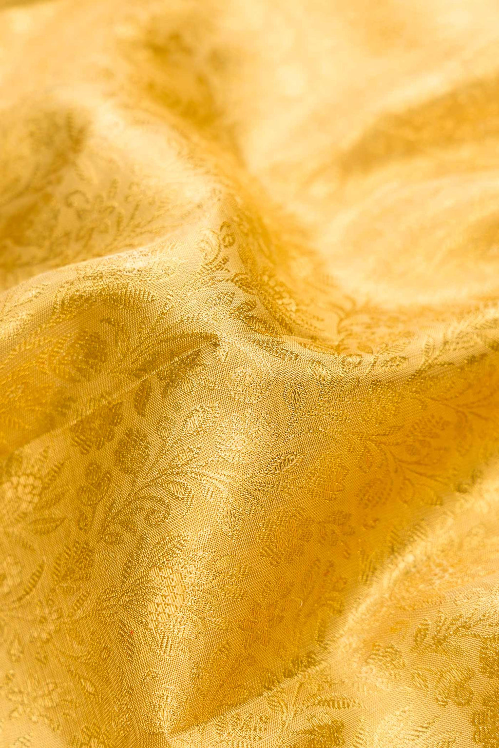 Close up of Pure Silk Pure Zari Gold Dual Tone Kanjivaram Tissue Saree with Zari Brocade on the body and Zari Border.  displaying folds