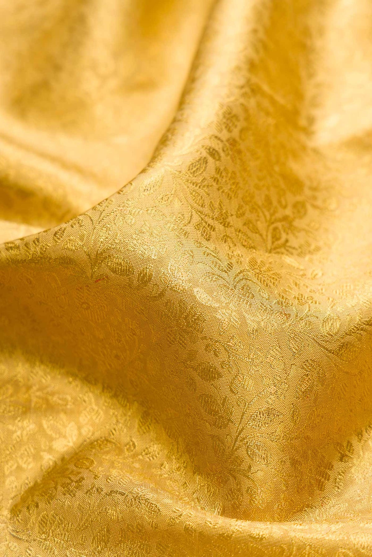 Close up of Pure Silk Pure Zari Gold Dual Tone Kanjivaram Tissue Saree with Zari Brocade on the body and Zari Border.  displaying folds