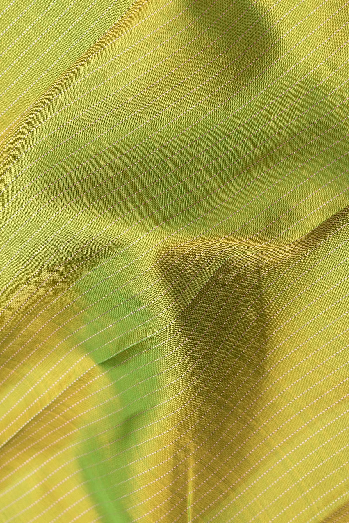 Close up of Parrot Green Dual Tone Kanjivaram Silk Saree with Stripes on the body and Thin Zari Line.  displaying folds