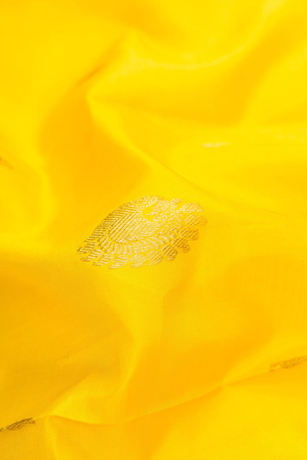 Close up of Lemon Yellow Dual Tone Kanjivaram Silk Saree with Zari Butta on the body and Zari Border.  displaying folds