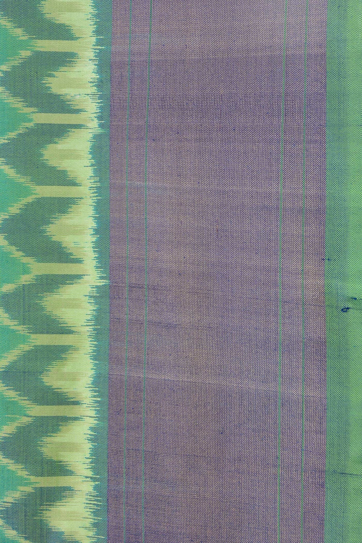 Border image of Green Dual Tone Double Ikat Saree with Ikat Print on the body and Zari Border. 