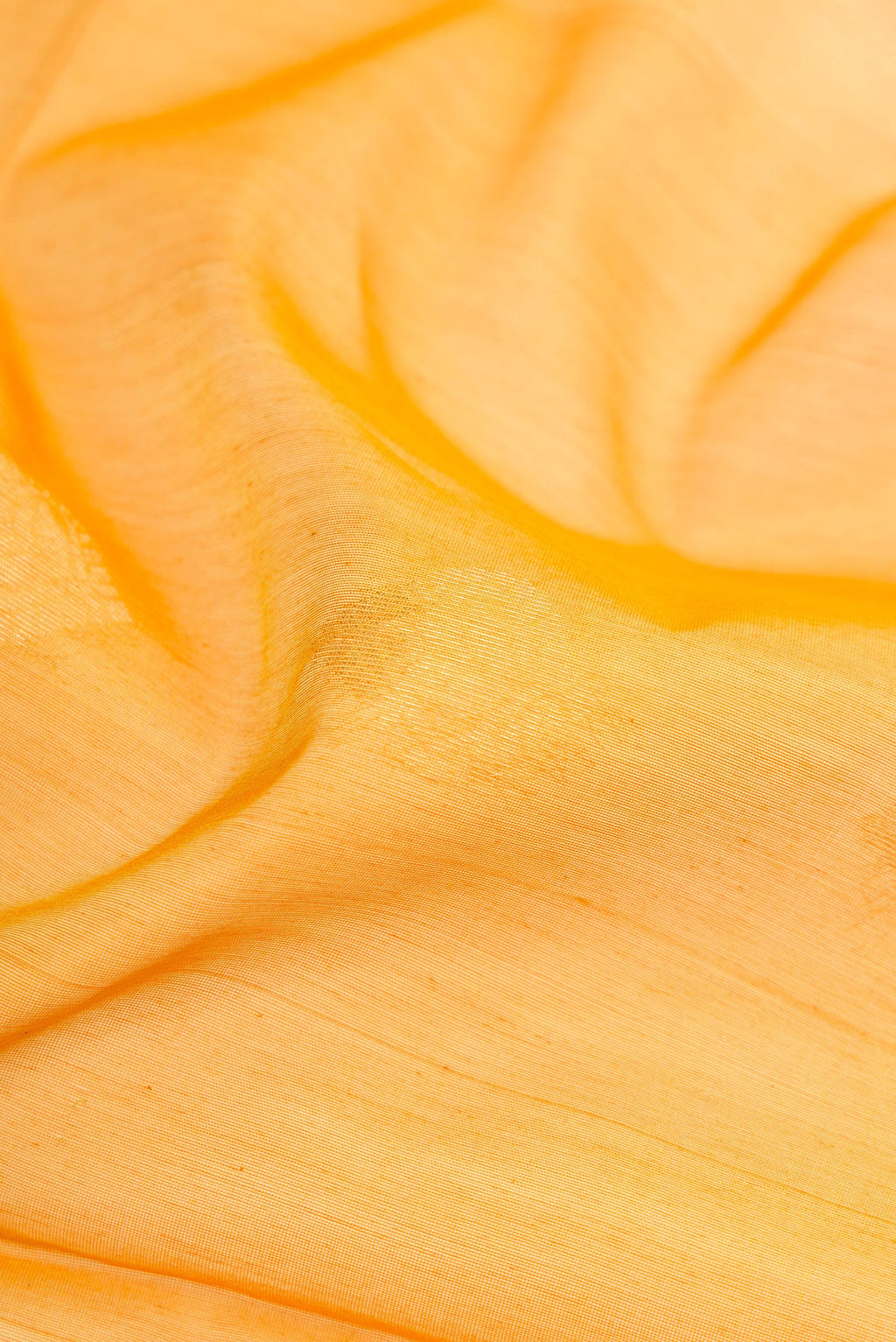Close up of Mustard Silk Cotton Saree with Zari Butta on the body and Zari Border.  displaying folds