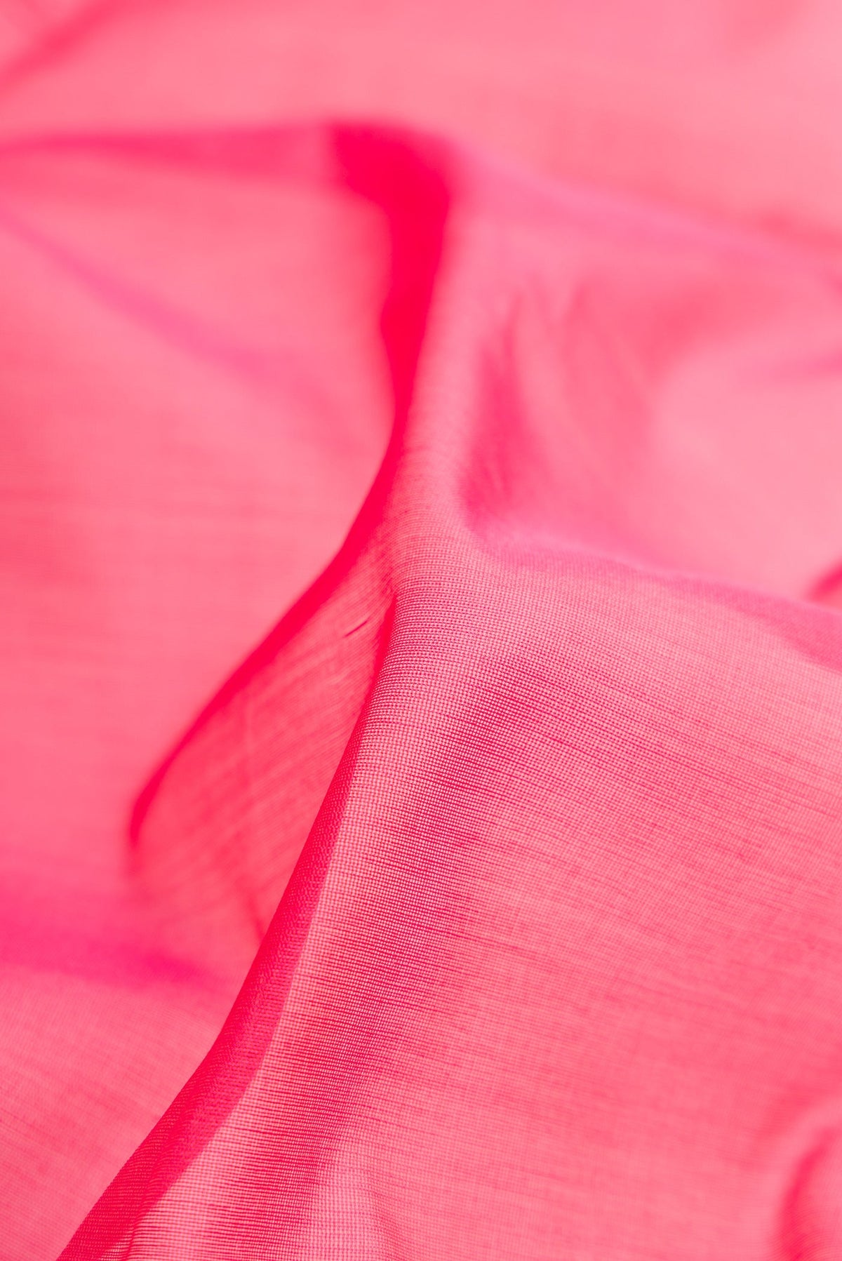 Close up of Pink Silk Cotton Saree with Plain Body and Fancy Border.  displaying folds