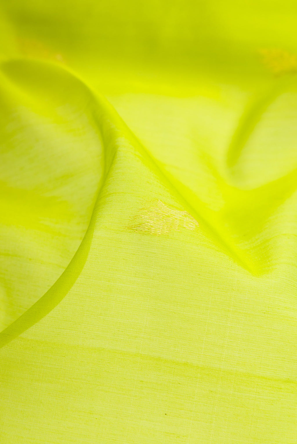 Close up of Parrot Green Silk Cotton Saree with Zari Butta on the body and Fancy Border.  displaying folds