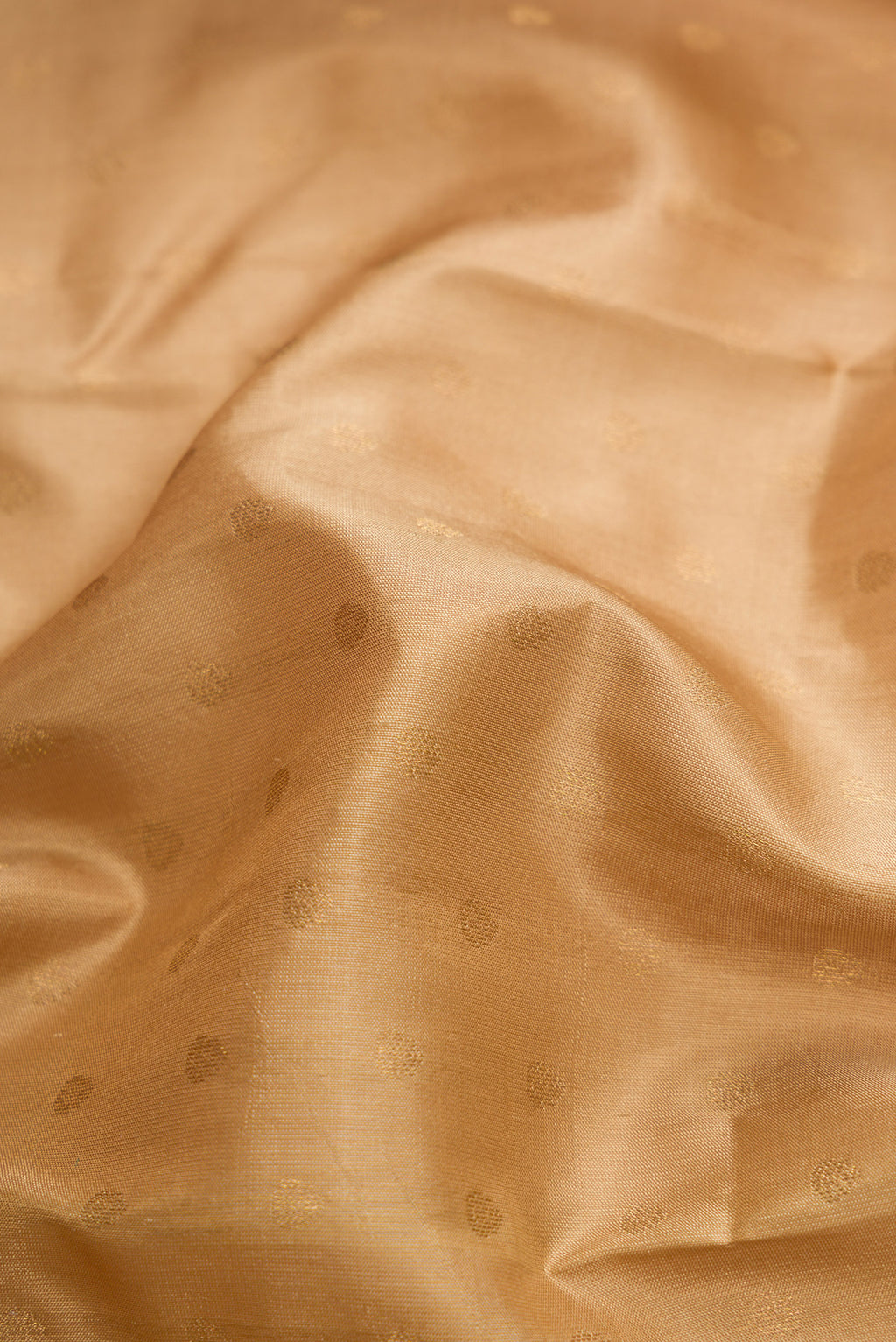 Close up of Beige Dual Tone Kanchipuram Silk Saree with Zari Butta on the body and Zari Border.  displaying folds