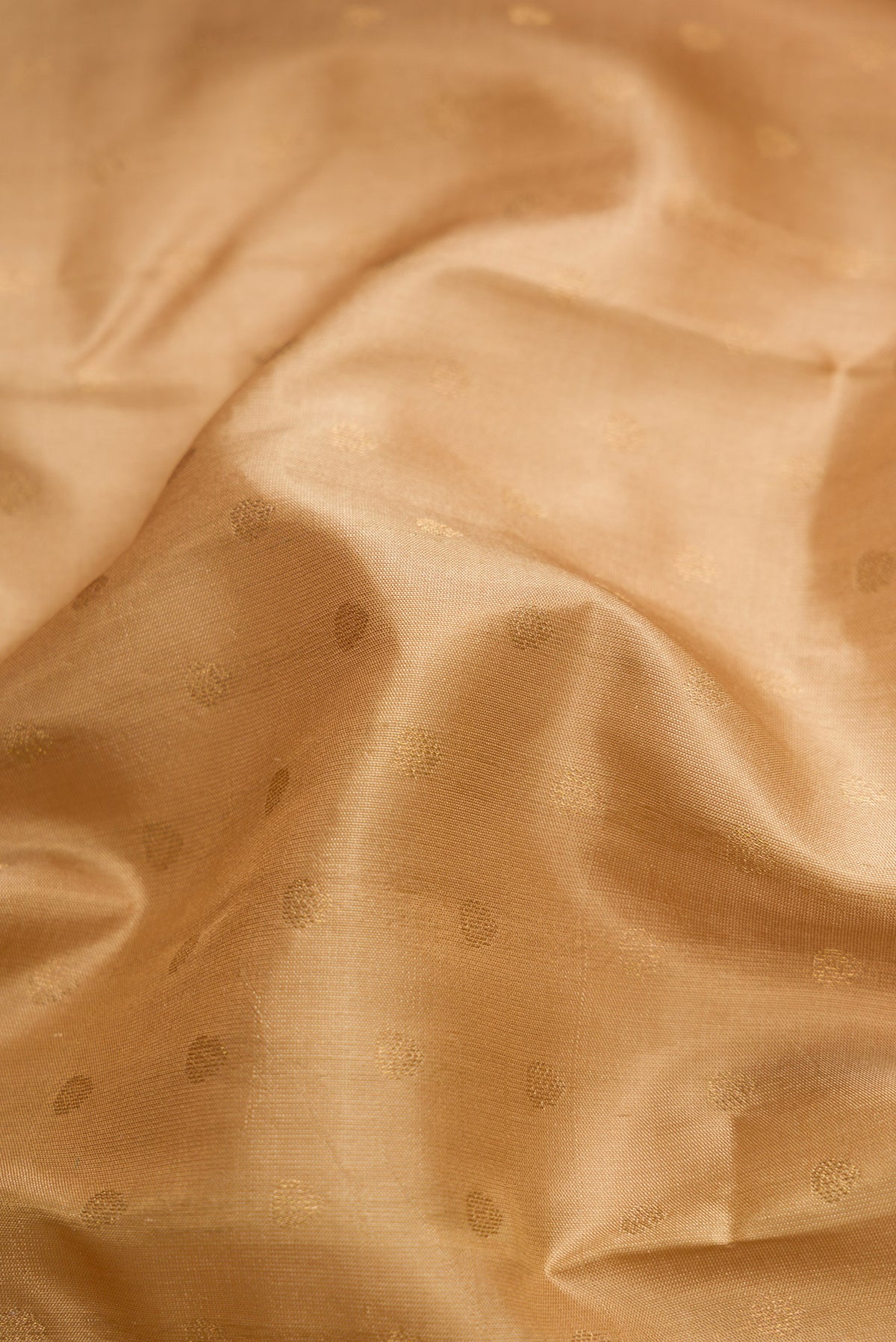 Close up of Beige Dual Tone Kanchipuram Silk Saree with Zari Butta on the body and Zari Border.  displaying folds