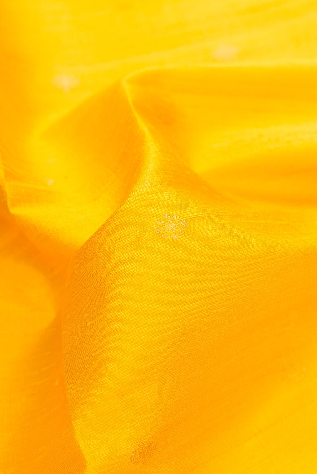 Close up of Yellow Dual Tone Raw Silk Saree with Zari Butta on the body and Plain Border.  displaying folds