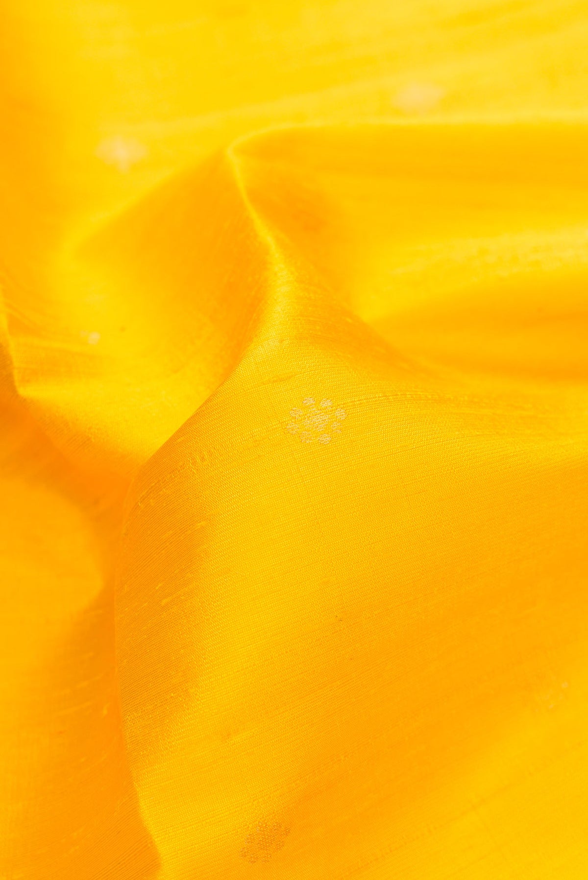 Close up of Yellow Dual Tone Raw Silk Saree with Zari Butta on the body and Plain Border.  displaying folds