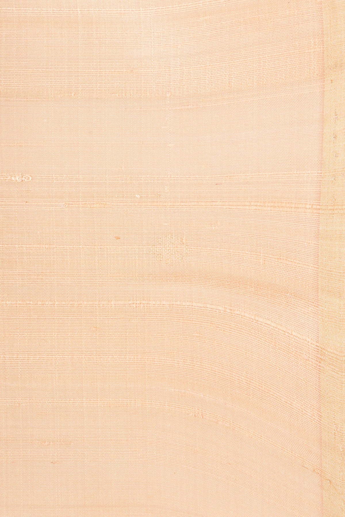 Border image of Beige Dual Tone Raw Silk Saree with Zari Butta on the body and Thin Zari Line. 